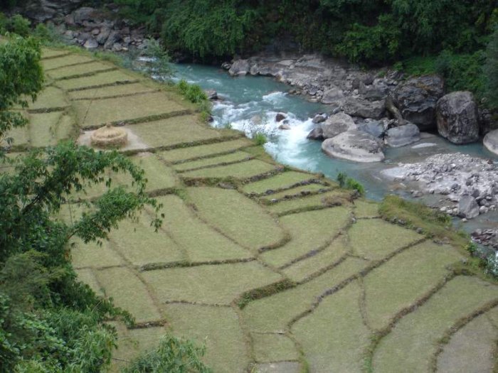 Terracing