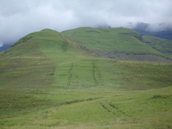 Multiple tracks by smugglers
