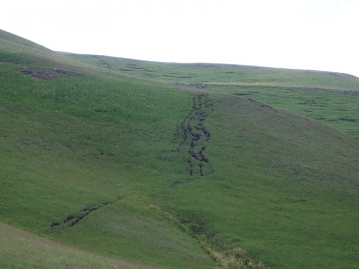 Multiple tracks by smugglers