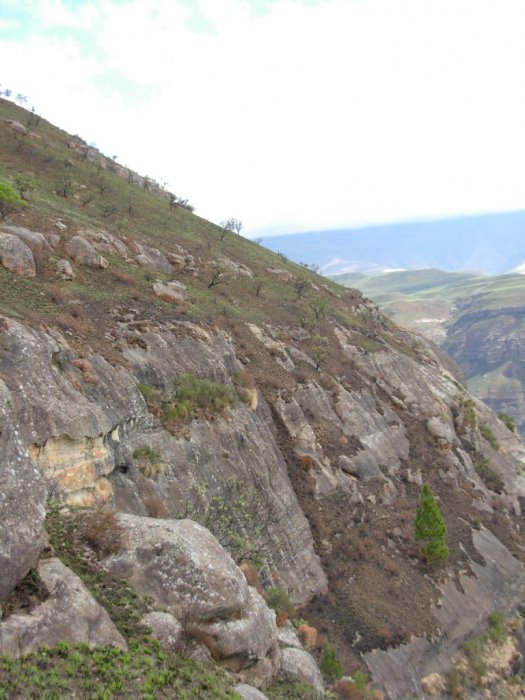 Injisuthi