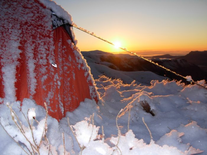 Snow Fall