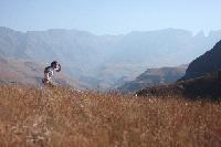 Trekking_Denna's Avatar