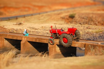 HappyCamper's Avatar