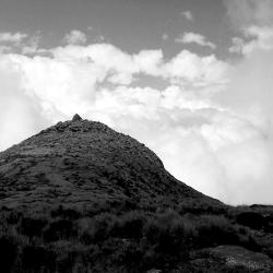 Shots taken over the years