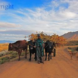 lesotho