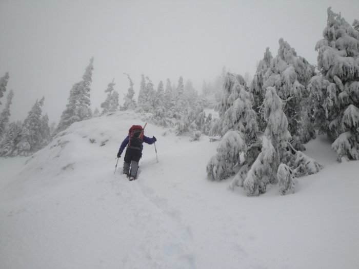 Mount Arrowsmith climb in January