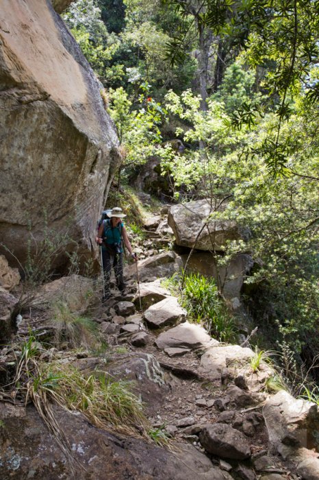 Van Heyningen's Pass