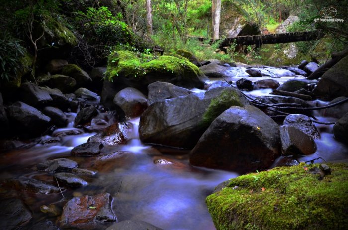 Tranquility