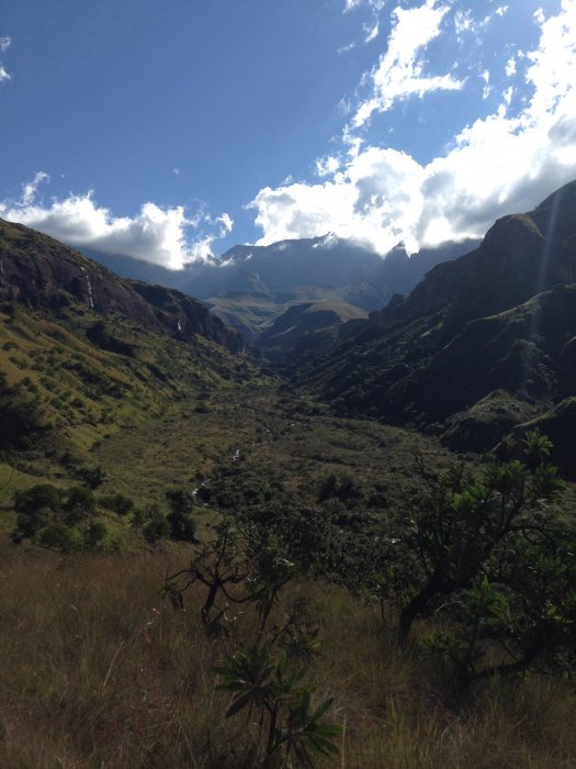 Presiding at the Delmhlwazini