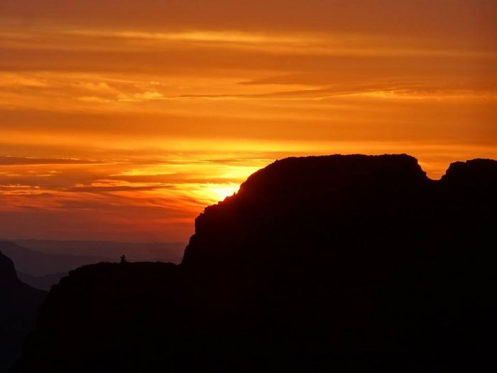 Butterscotch Rockeries
