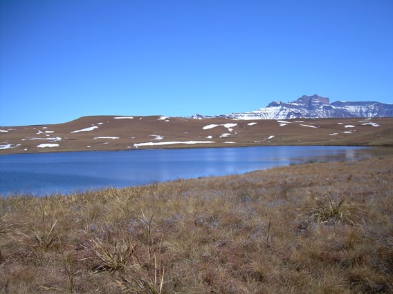 Highmoor Snow - 31 July 2011