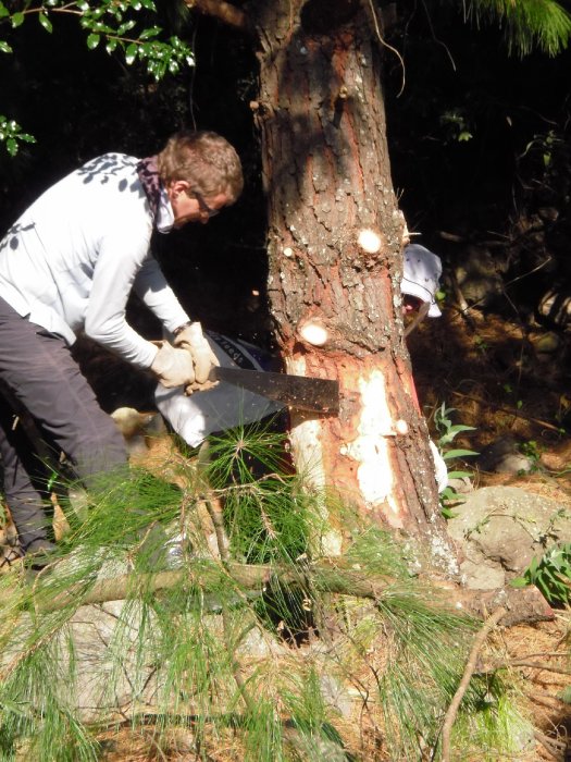 ClimbyKel's VE Trip pics 2012