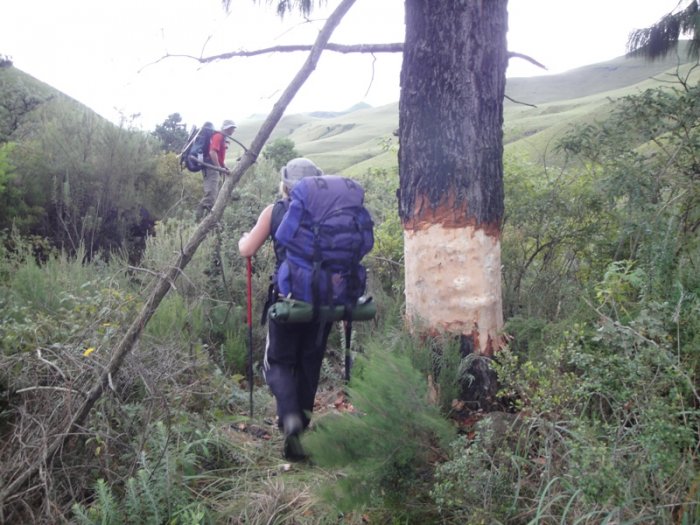 Wrapping up the first day