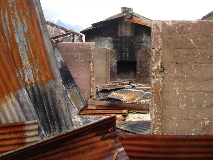 Cathedral Peak Forestry Station