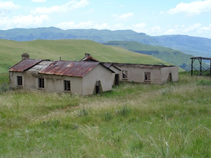 Cathedral Peak Forestry Station
