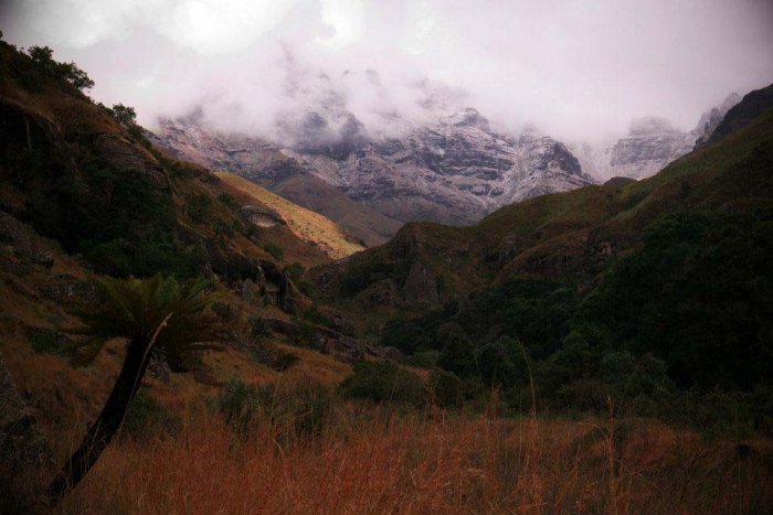 Up  Mhambonga Valley