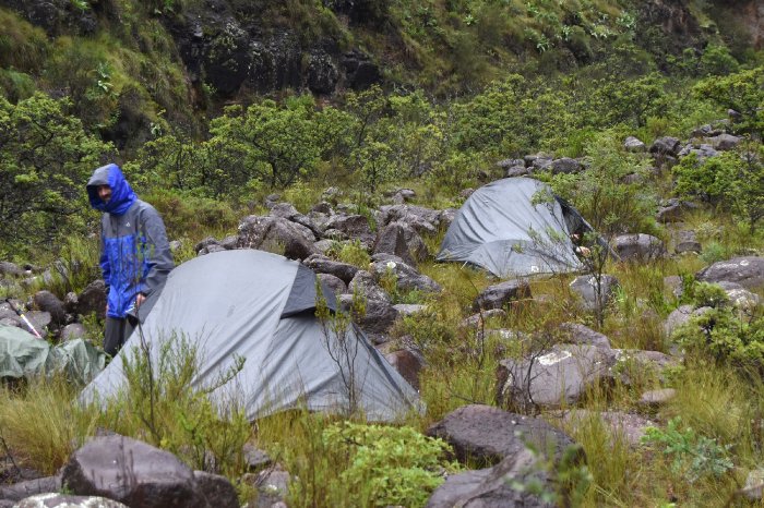 Bottom of Ships Prow