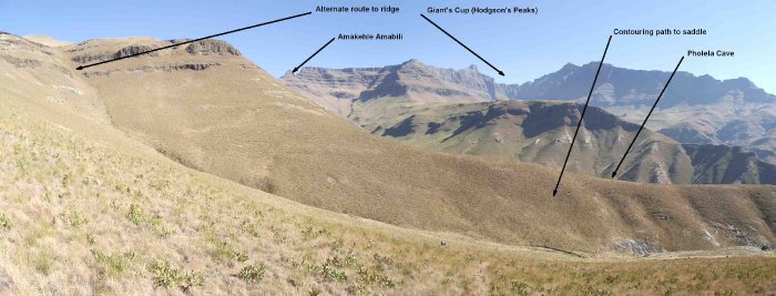 Giant's Cup - Amakehle